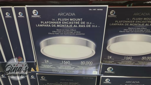 Energetic Lighting 14-Inch Arcadia LED Flush Mount Ceiling Light