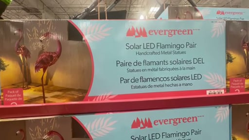 Evergreen Solar LED Metal Flamingo Statue Pair