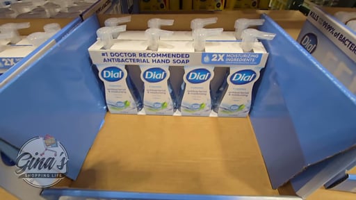 Dial Foaming Hand Soap 4-pack