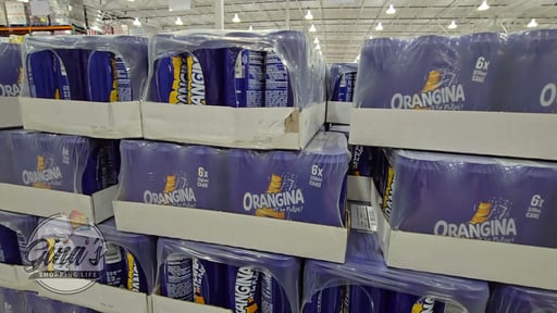 Orangina Sparkling Citrus Beverage 24-pack