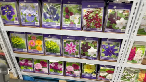Spring Bulb Assortment