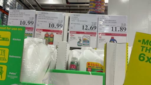 Clorox Clean-Up Cleaner with Bleach