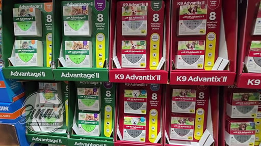 Advantage II L Cat 8 Month Supply