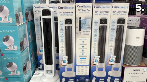 OmniBreeze Tower Fan