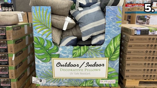 Brentwood Originals Indoor/Outdoor Decorative Pillow