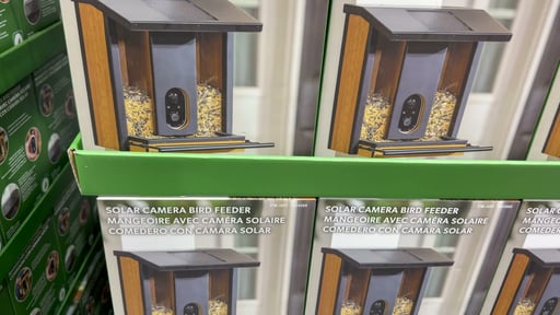 Evergreen Smart Bird Feeder with Solar Camera