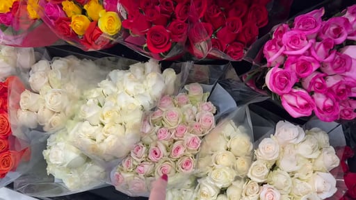 24 Count Premium Roses