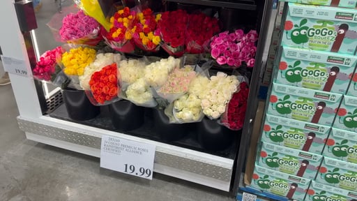 2 Dozen Premium Roses