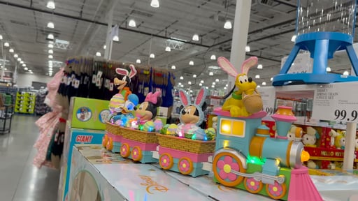 Disney Spring Train