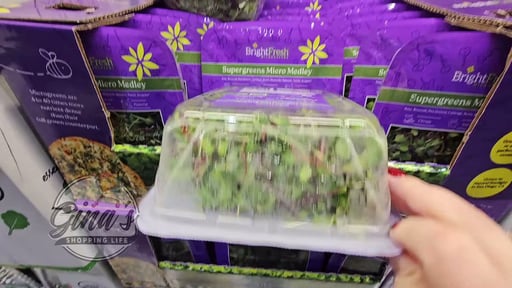 Bright Fresh Microgreens Rainbow Mix 6oz