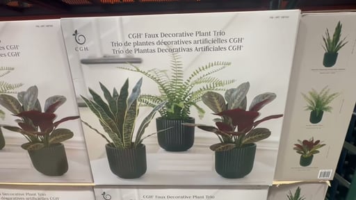 C.G. Hunter Faux Decorative Plant Trio