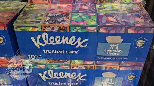 Kleenex Trusted Care Flat Pack 2-Ply 10/230CT