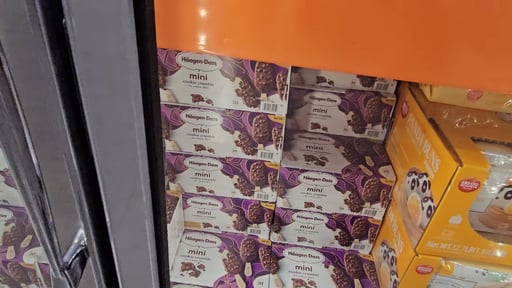 Häagen-Dazs Mini Cookie Crumble Ice Cream Bars 20 Count Box