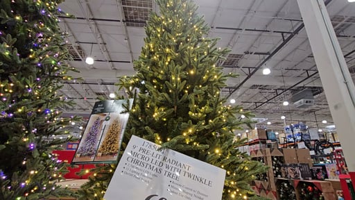 9' Pre-Lit Radiant Micro LED with Twinkle Christmas Tree