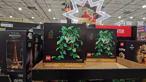 LEGO Hanging Golden Pothos