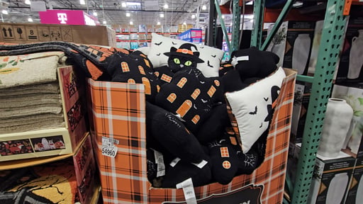 Brentwood Pumpkin & Skeleton Halloween Decorative Pillows