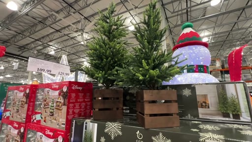 Boxed Pine Trees with Twinkle Lights, Set of 2 (4' & 3')