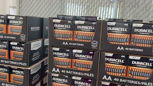 Duracell Power Boost Alkaline Batteries AA 40pk