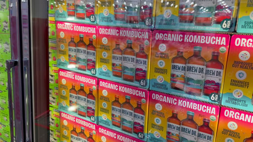 Brew Dr. Organic Kombucha Variety Pack 6/14 oz
