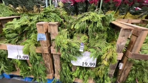 Red Cedar and White Pine Garland 25 Feet
