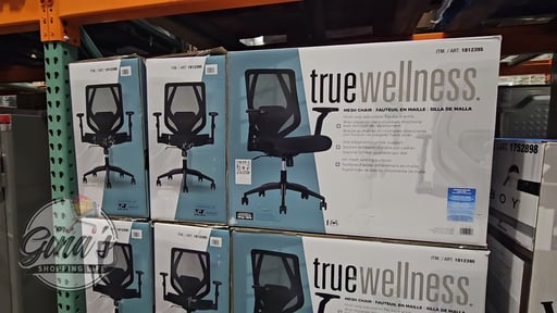 TrueWellness All Mesh Office Chair