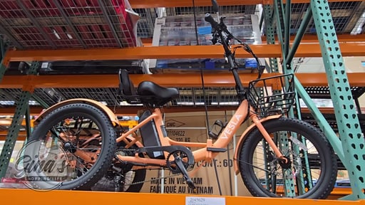 VESLA VS-900 FOLDABLE FAT TIRE E-TRIKE