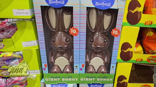MAUD BORUP GIANT CHOCOLATE BUNNY 160 OZ