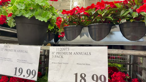 12" Premium Annual Planter