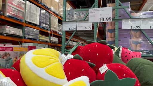 Fruit Decorative Pillow