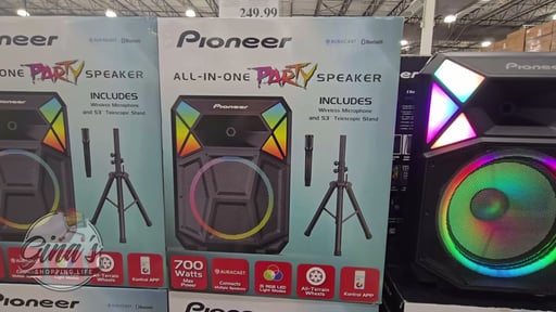 Pioneer PSX615 Party Speaker 700 Watt All-in-One