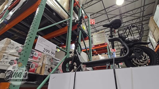 Phantom R1 Pro Seated E-Scooter