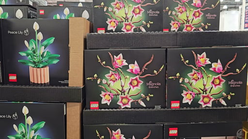 LEGO Botanicals Peace Lily & Magnolia Branches Bundle