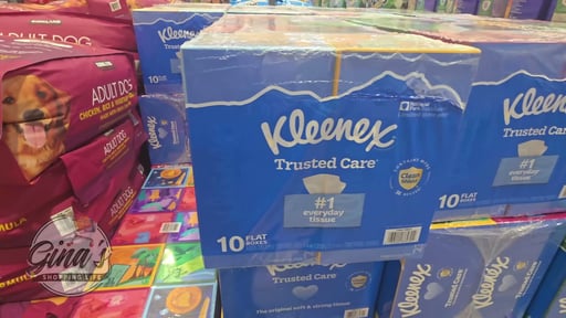 Kleenex Trusted Care Facial Tissue 10/230 ct