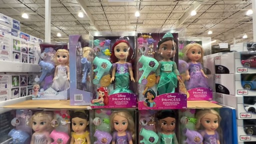 Disney Large Doll & Hair Play Set