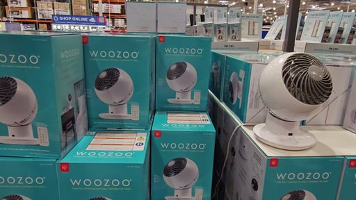 Woozoo 5-Speed Globe Fan