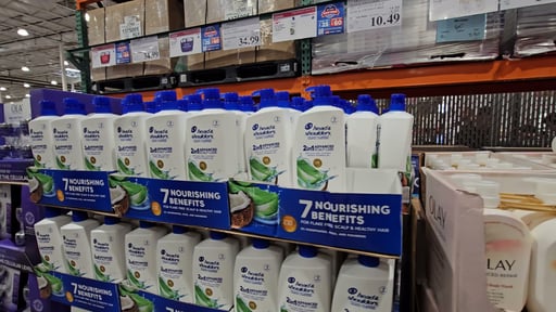 Head & Shoulders 2-in-1 Advanced Scalp Care with Aloe & Coconut 40 fl oz