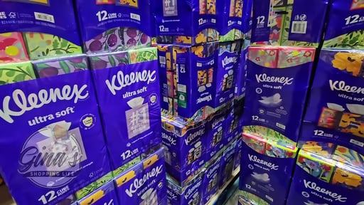 Kleenex Facial Tissue Upright 12/85 Count 3-Ply