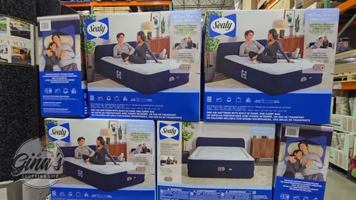 Sealy Queen Airbed with Headboard
