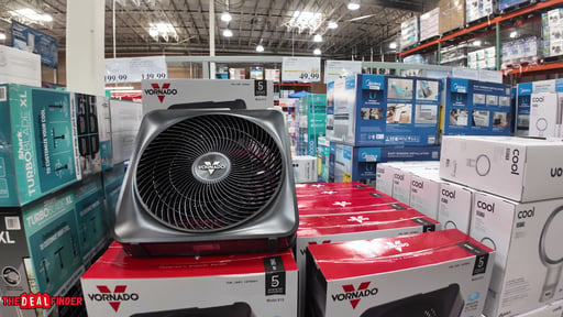 Vornado Box Fan