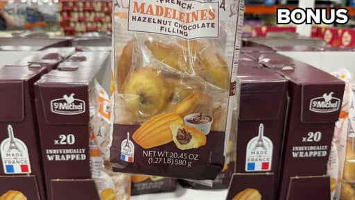 St Michel Madeleines Chocolate/Hazelnut Filled 20.48 oz