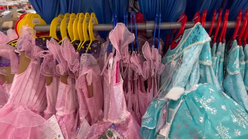 Teetot Princess Factory Costume Assortment