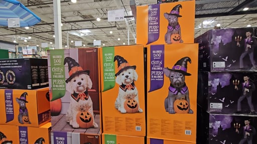 Halloween Dog Greeter