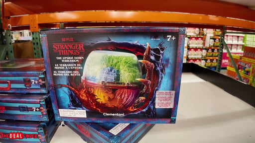 Terrarium Kit Assortment - Harry Potter or Stranger Things