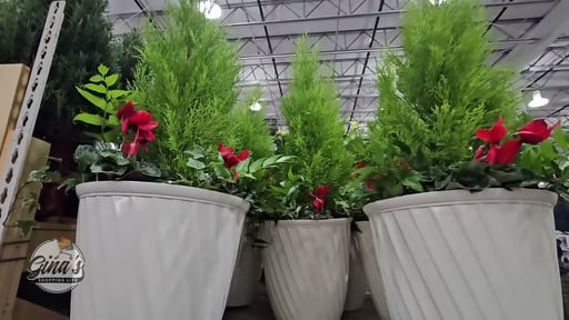 Holiday Garden in Deco Pot