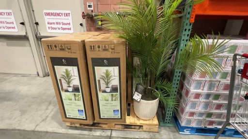 Faux 6.5' Palm Tree