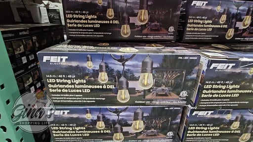Feit Electric 48' LED String Lights