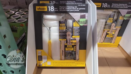 Wagner Premium Painting Kit 18pc