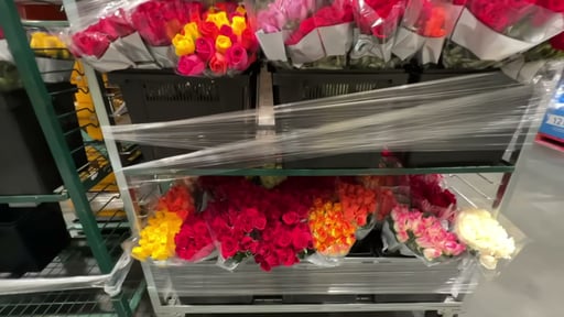 2 Dozen Premium Roses