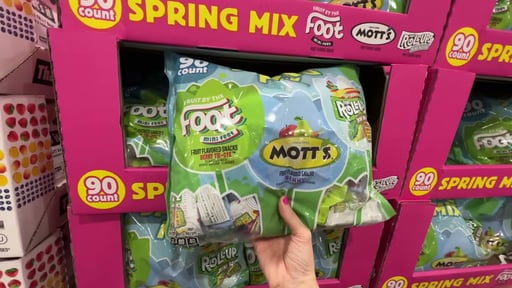 Spring Mix - Mott's & Fruit Foot / Roll Up 90 CT