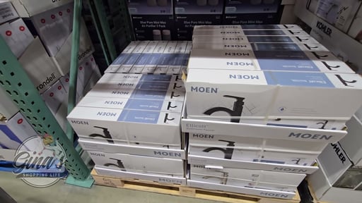 Moen Ellicott Single Hole Bathroom Faucet